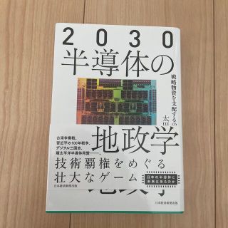 ２０３０半導体の地政学 戦略物資を支配するのは誰か(人文/社会)