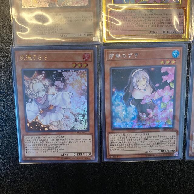遊戯王 - 遊戯王 灰流うらら・儚無みずき・幽鬼うさぎ・浮幽 遊戯王 - 遊戯王 灰流うらら・儚無みずき・幽鬼うさぎ・浮幽