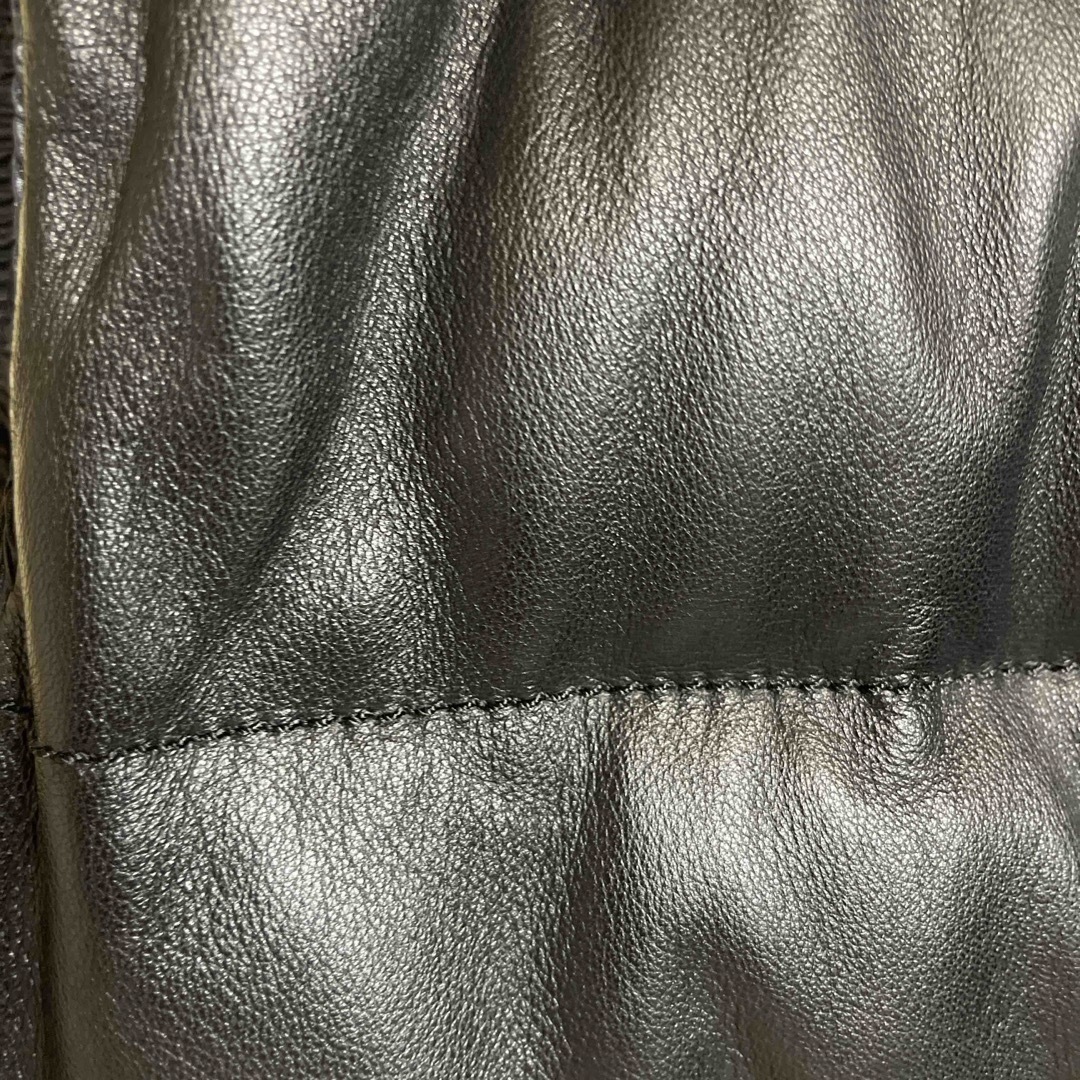 DUVETICA(デュベティカ)のデュペチカのレザーダウンベスト メンズのジャケット/アウター(ダウンベスト)の商品写真