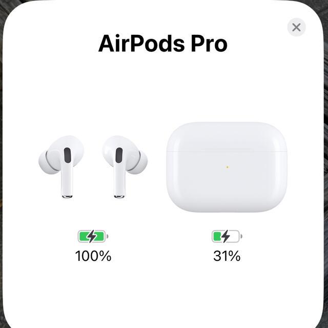 Apple(アップル)のレバンマン様専用　APPLE AirPods Pro 第1世代 スマホ/家電/カメラのオーディオ機器(ヘッドフォン/イヤフォン)の商品写真