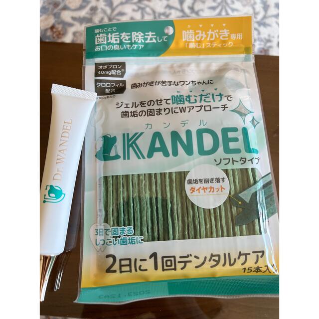 Dr.WANDEL、KANDEL