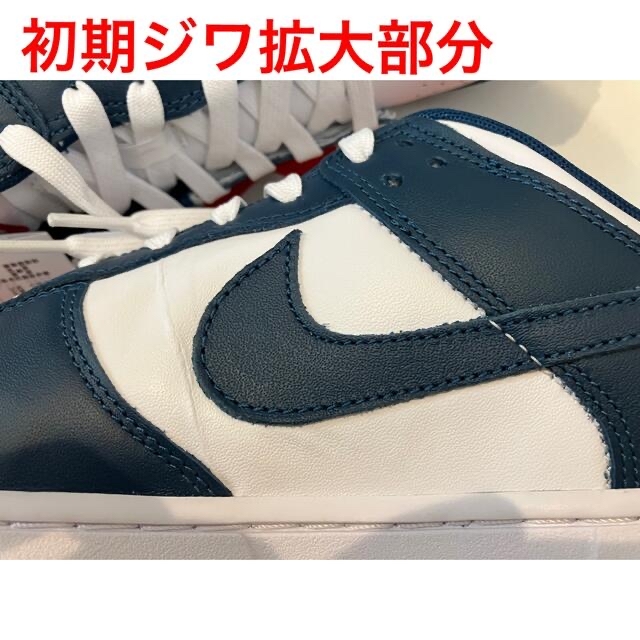 Nike Dunk Low "Valerian Blue"　DD1391-400