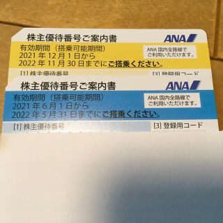 エーエヌエー(ゼンニッポンクウユ)(ANA(全日本空輸))のANA株主優待券(その他)