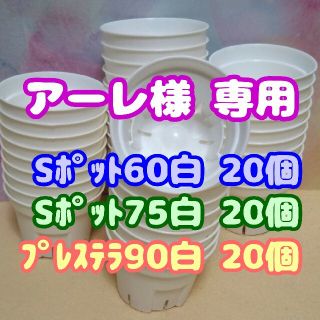 《Sポット60》白 20個他 スリット鉢 プラ鉢 2号鉢相当 多肉植物プレステラ(プランター)