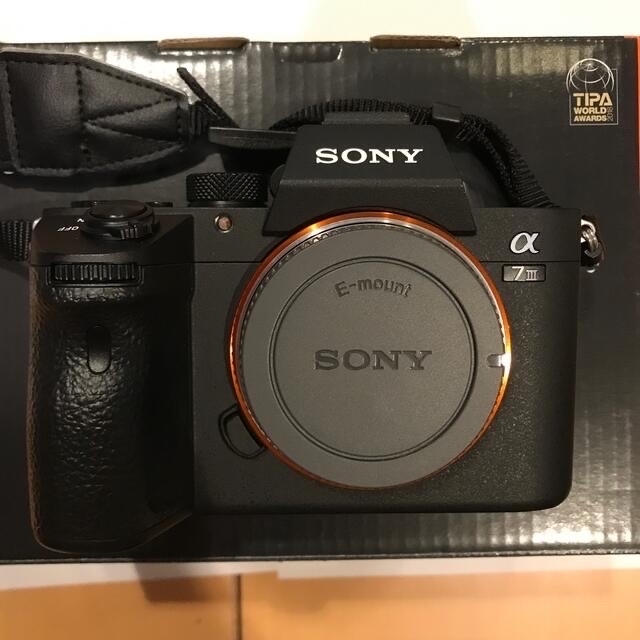 SONY α7RⅢ RRS Lグリップ　純正バッテリー計2本付