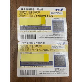 エーエヌエー(ゼンニッポンクウユ)(ANA(全日本空輸))のANA株主優待券　2枚(その他)