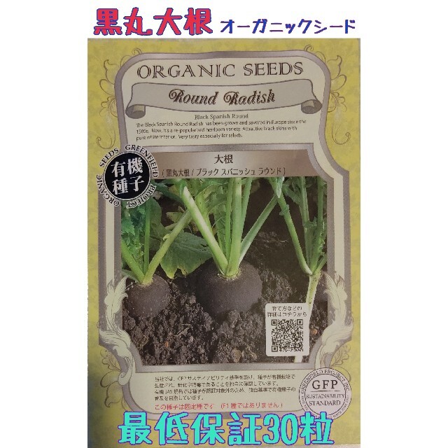 黒丸大根 野菜種 カブ 家庭菜園 プランター 初心者向け 食品/飲料/酒の食品(野菜)の商品写真