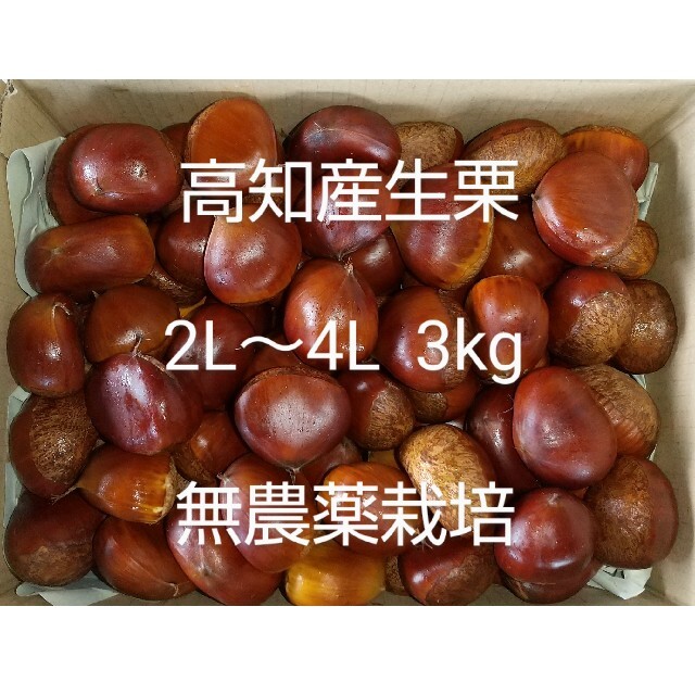 4cm以上の大粒入り 栗 3L 5kg 無農薬