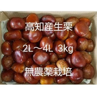 高知産 生栗 3kg 大きさ2L～4L 無農薬栽培(フルーツ)