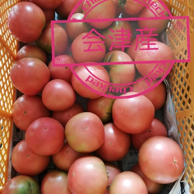 7キロ　高原トマト　南会津産　桃太郎　産地直送 食品/飲料/酒の食品(野菜)の商品写真