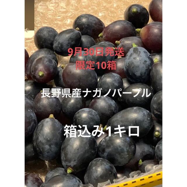 長野県産 ナガノパープル　箱込み1kg　※9月30日発送 食品/飲料/酒の食品(フルーツ)の商品写真