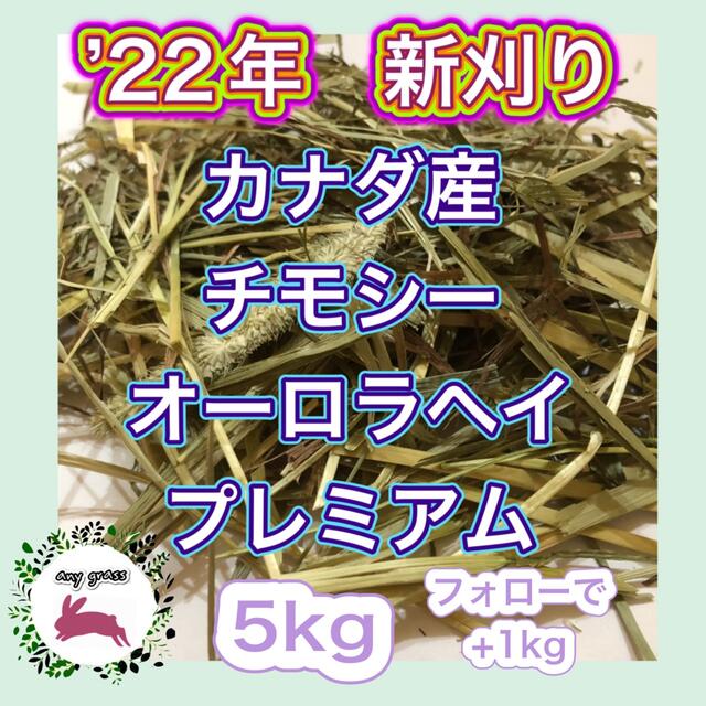 '22年新刈りカナダ産チモシーオーロラヘイプレミアム5kg  フォローで+1kg その他のペット用品(ペットフード)の商品写真