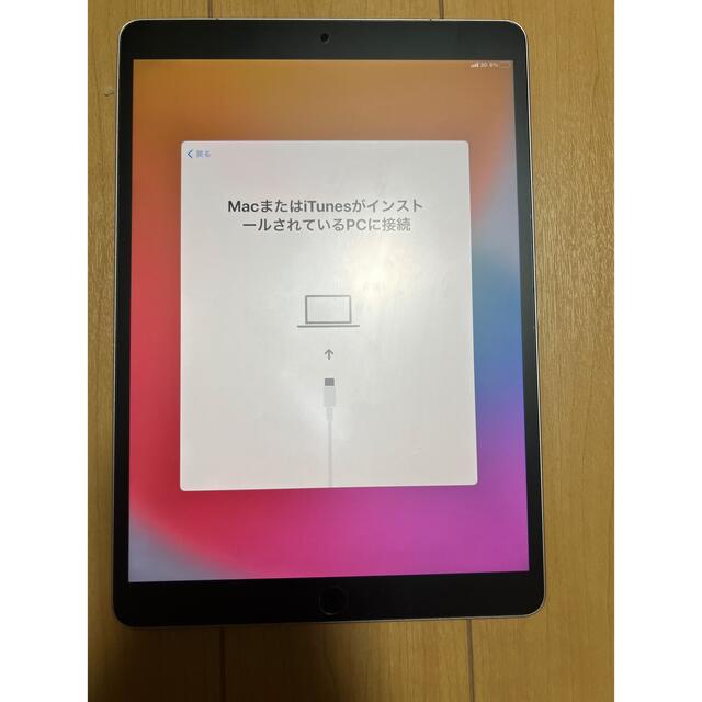 iPad Pro 10.5 64GB セルラーモデル