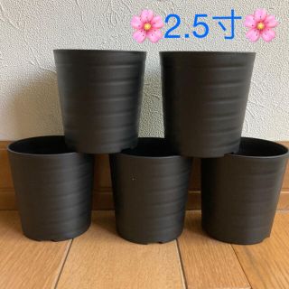 《セラアート♡陶器風　プラ鉢　黒　2.5寸×5個》【お洒落✨プラスチック鉢】(プランター)