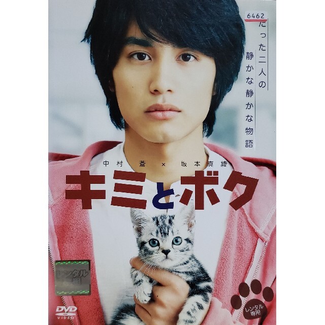 中古DVD キミとボク エンタメ/ホビーのDVD/ブルーレイ(日本映画)の商品写真