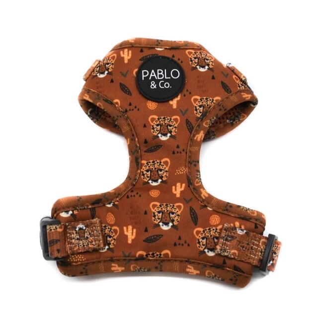 専用です！PABLO&Co. ハーネス harness  その他のペット用品(犬)の商品写真