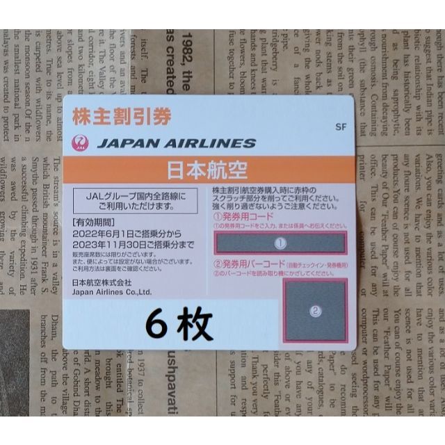 株主優待　JAL　日本航空　６枚
