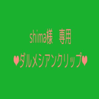  shima様専用　　ヘアクリップ ダルメシアン アニマル 犬いぬイヌ(バレッタ/ヘアクリップ)