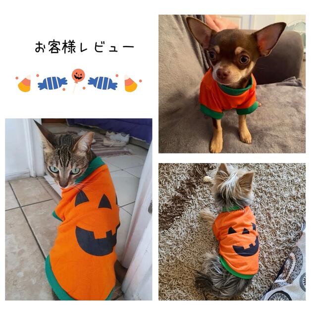 ハロウィン ペット　わんちゃん　かぼちゃ　コスプレ　コスチューム　犬　猫 その他のペット用品(犬)の商品写真