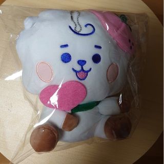 ビーティーイシビル(BT21)のBT21 ぬいぐるみ RJ  モーリーファンタジー(ミュージシャン)