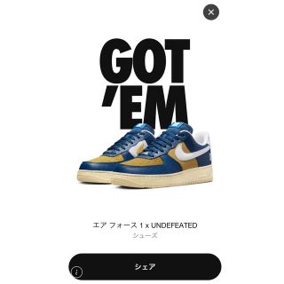 ナイキ(NIKE)のUNDEFEATED × NIKE AIR FORCE 1 "5 ON IT" (スニーカー)