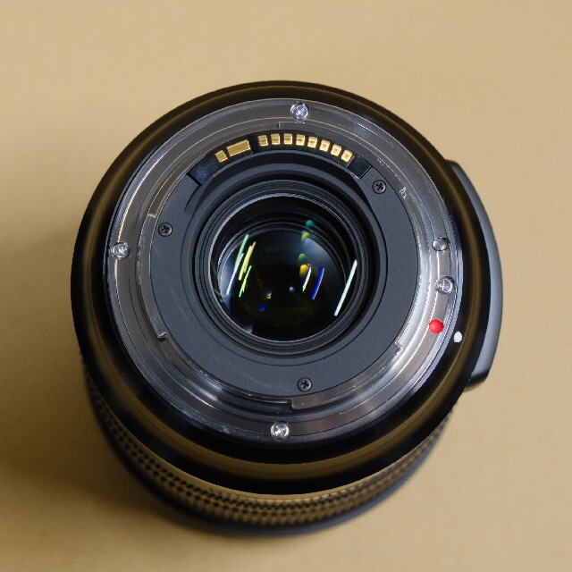 【フィルター付】シグマ 24-105mm F4 DG OS HSM EFマウント