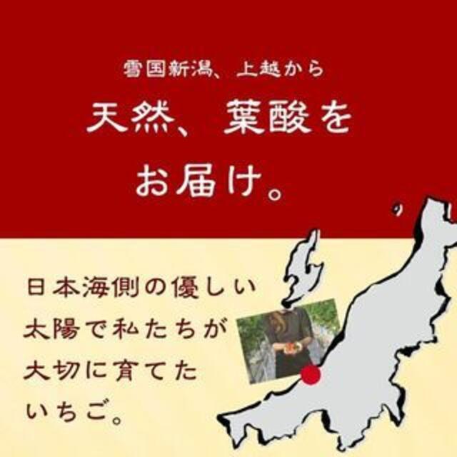 国産無添加冷凍いちご越後姫約1000g×4個合計4kgおまけの苺アイス付き 食品/飲料/酒の食品(フルーツ)の商品写真