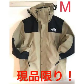 ザノースフェイス(THE NORTH FACE)のノースフェイス　ゴアテックス　マウンテンジャケット(マウンテンパーカー)