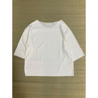 韓国 ニット Tシャツ(ニット/セーター)