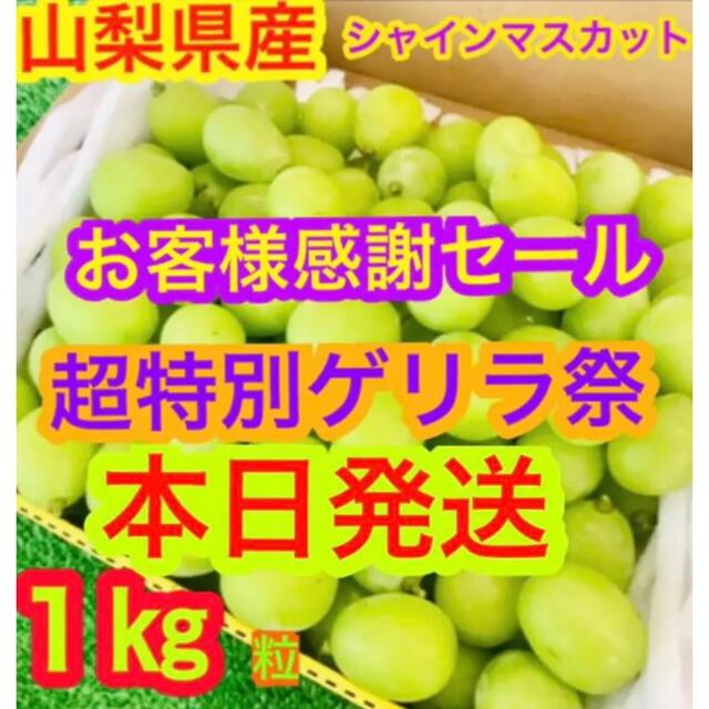 6箱目！10箱限定！山梨県産 シャインマスカット箱込み 1kg 粒 食品/飲料/酒の食品(フルーツ)の商品写真