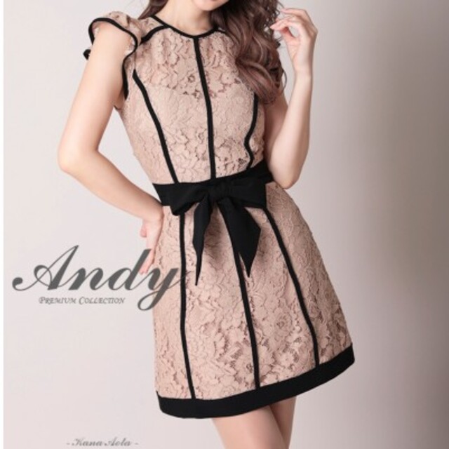 Andy キャバクラ ドレス 新品 優先配送 11050円 selinsbil.se