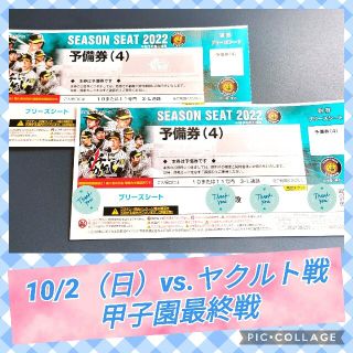 ハンシンタイガース(阪神タイガース)の★10/3（日）vs.ヤクルト ブリーズシート【ペア】(野球)