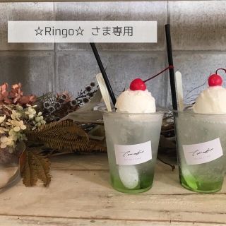 ☆Ringo☆ さま専用(外出用品)