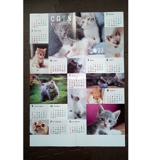 猫　2023カレンダー(カレンダー/スケジュール)