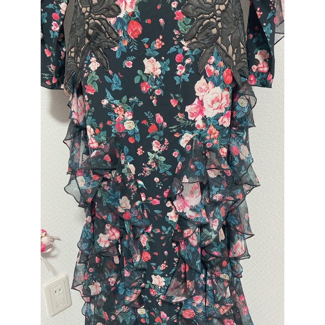 御専用　新品 2 Tadashi Shoji ドレス BL29032N