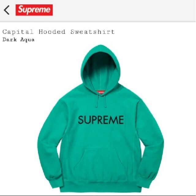 Supreme Capital Hooded Sweatshirt（L）