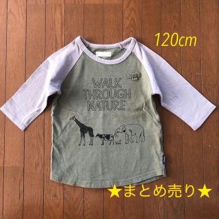 ベルメゾン(ベルメゾン)の専用☆ラグランTシャツ七部袖＋ユニクロボーダーロンＴ☆120cm(Tシャツ/カットソー)