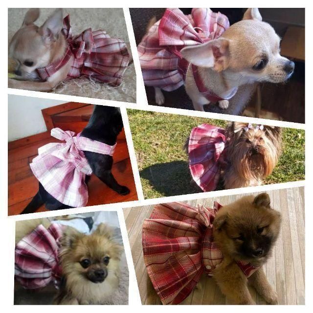 【ピンクXSサイズ】犬の服　ドレス型ハーネス その他のペット用品(犬)の商品写真