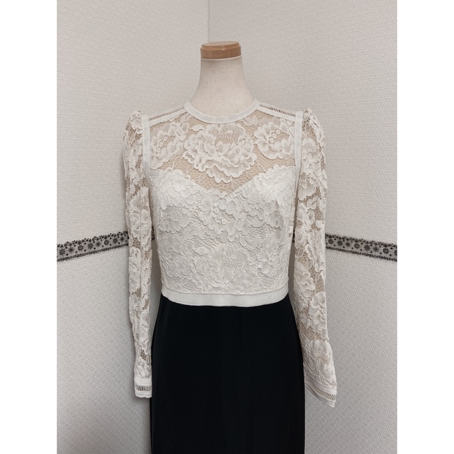 TADASHI SHOJI(タダシショウジ)の新品 4 Tadashi Shoji ドレス WL29084LN レディースのワンピース(ロングワンピース/マキシワンピース)の商品写真