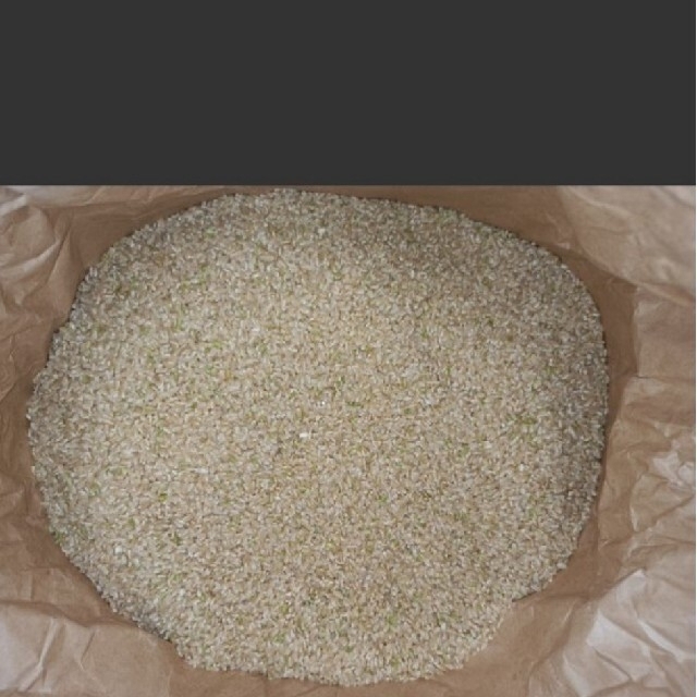 新米　あきさかり　無農薬　玄米20キロ