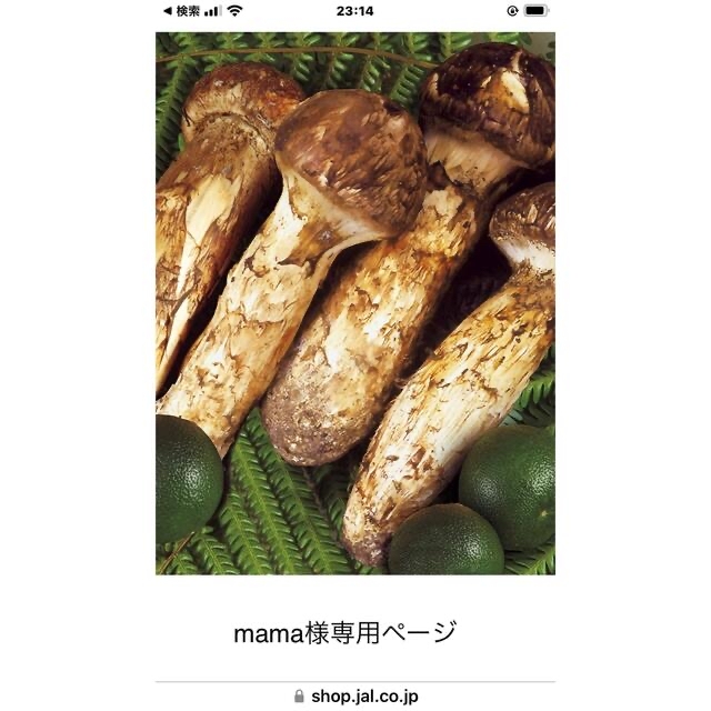 mama様専用ページ♡写真upしました(❁´ω`❁) プレミアム 6200円