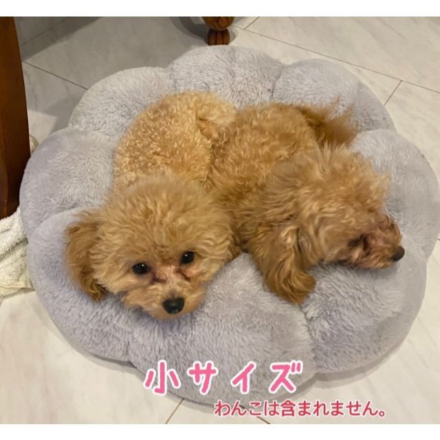 ふわふわフラワーベッド・ピンクM   ペット用　小型犬 その他のペット用品(犬)の商品写真