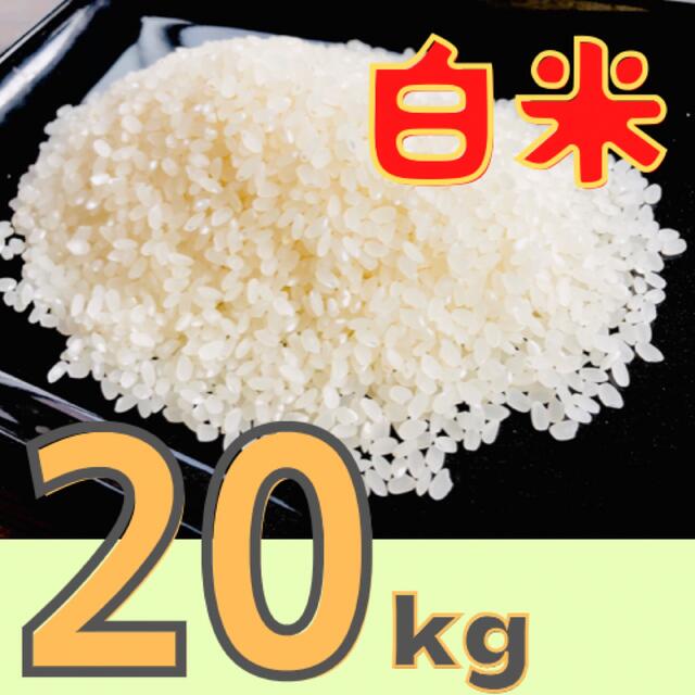 生活応援米 美味しいコシヒカリ20kg 白米