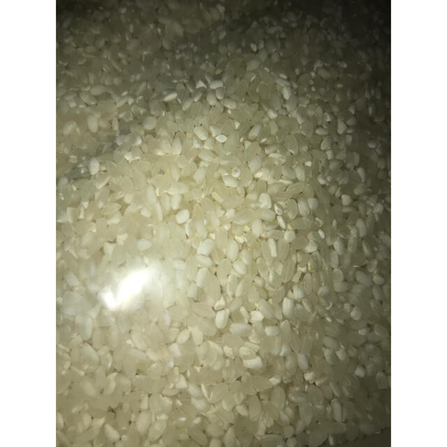 【数量限定】大特価セール!コスパ米20kg(5kg×4袋) 新米 お米 白米
