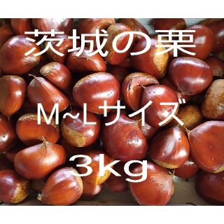 茨城の栗　M~Lサイズ　3kg　常温発送　送料込(フルーツ)