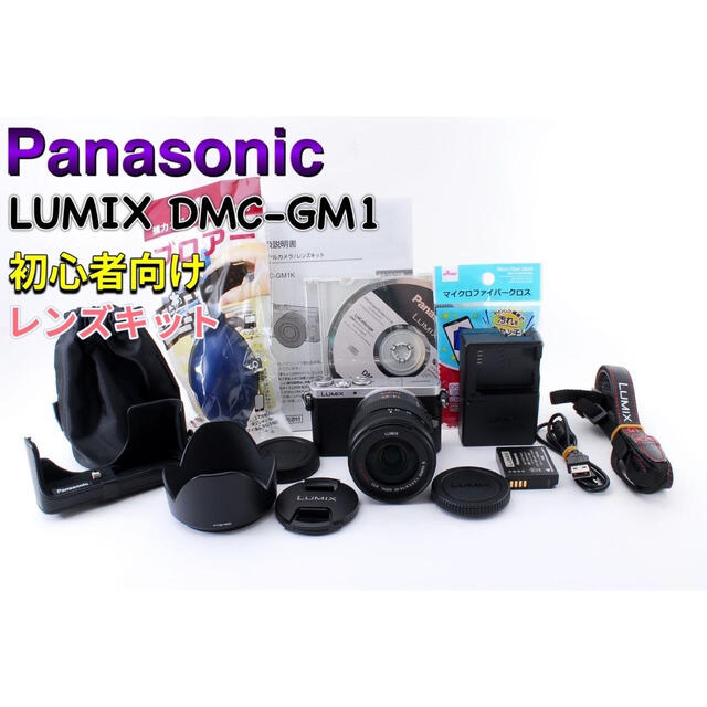 Panasonic LUMIX DMC-GM1レンズキット