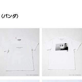 シップス(SHIPS)の【SHIPS】パンダTシャツ【呪術廻戦コラボ】(Tシャツ/カットソー(半袖/袖なし))