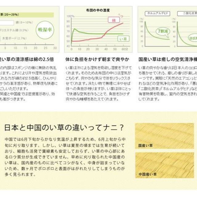添島勲商店 国産 い草花ござ 市松スクエア(青系) 約190×250cmの通販