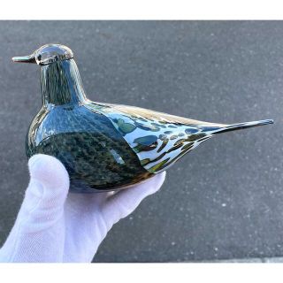 iittala - Nuutajarvi オイバ・トイッカ 1997年 バード Song Trushの