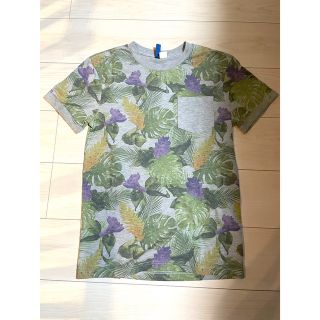 エイチアンドエム(H&M)のH&M レディース　Mサイズ　ティシャツ　ボタニカル　植物柄(Tシャツ(半袖/袖なし))